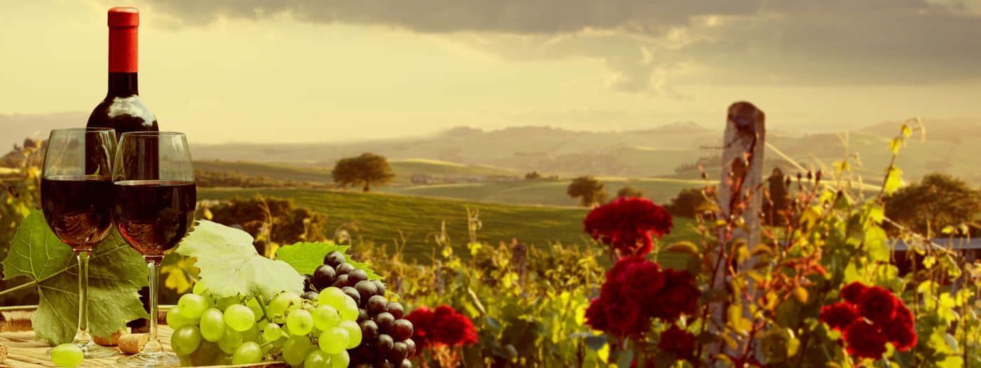 La tecnologia e l’innovazione hanno permesso di stabilizzare la qualità dei vini in tutte le zone del mondo