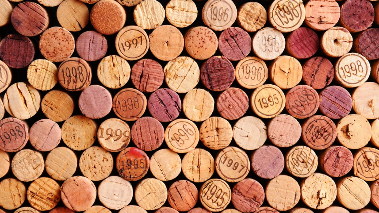 Il lavoro di squadra fa la forza nel vino e in cantina