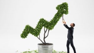 L’importanza della fiduciaria nell’ambito dei Pir