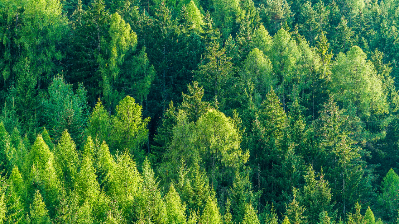 I fondi sostenibili sono davvero diversi