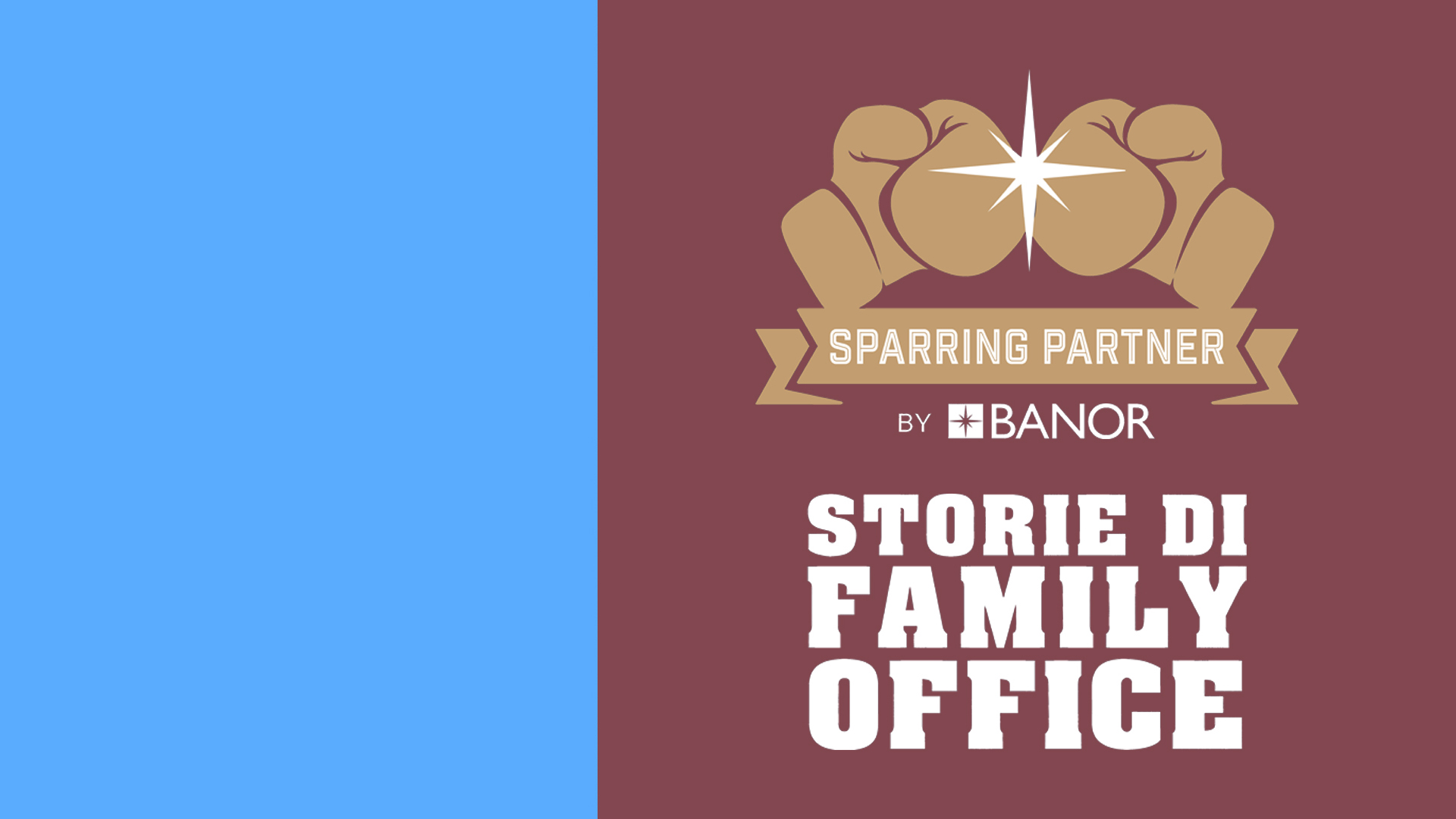 Uno sfondo diviso con un lato sinistro blu e un lato destro marrone. Sul lato marrone, guantoni da boxe beige e una stella sono posizionati sopra il testo "Sparring Partner by Banor" e "Storie di Family Office" in bianco.