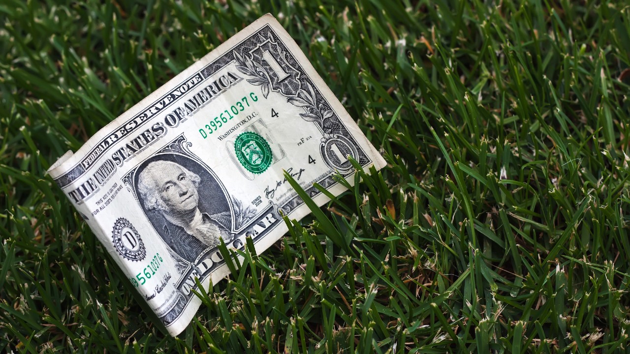 Una banconota da un dollaro accartocciata è adagiata su un prato verde e rigoglioso, parzialmente in verticale, con segni e numeri visibili.