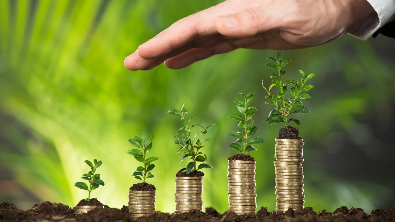 Una mano aleggia protettiva su una fila di piccole piante che spuntano da pile di monete, a simboleggiare la crescita degli investimenti finanziari nel food. Lo sfondo verde sfocato evoca la natura e la sostenibilità e allude alla crescita del settore alimentare.