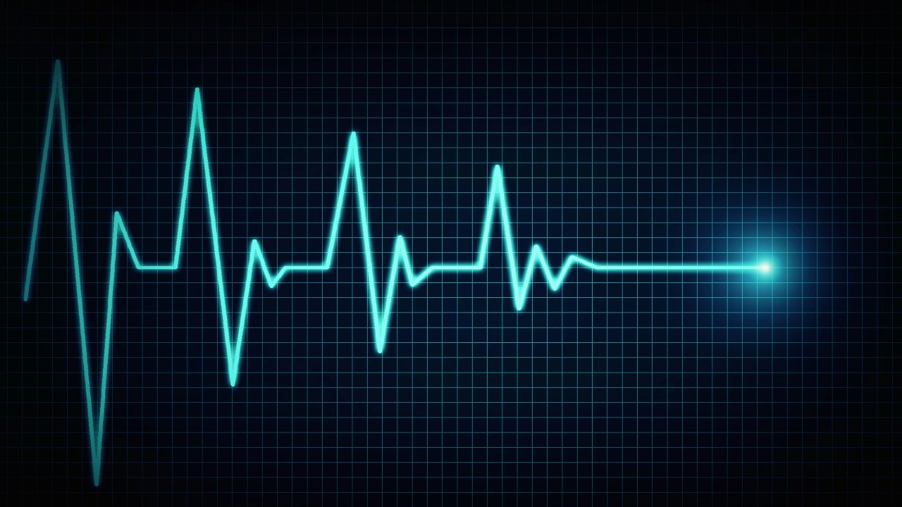 Una linea elettrocardiografica (Ecg) blu brillante pulsa su uno sfondo scuro a griglia e disegna dei picchi in alto e in basso frastagliati che ricordano il battito cardiaco. Termina in un punto luminoso sulla destra, un vivido promemoria del ritmo della vita e del potere della donazione per sostenerlo.