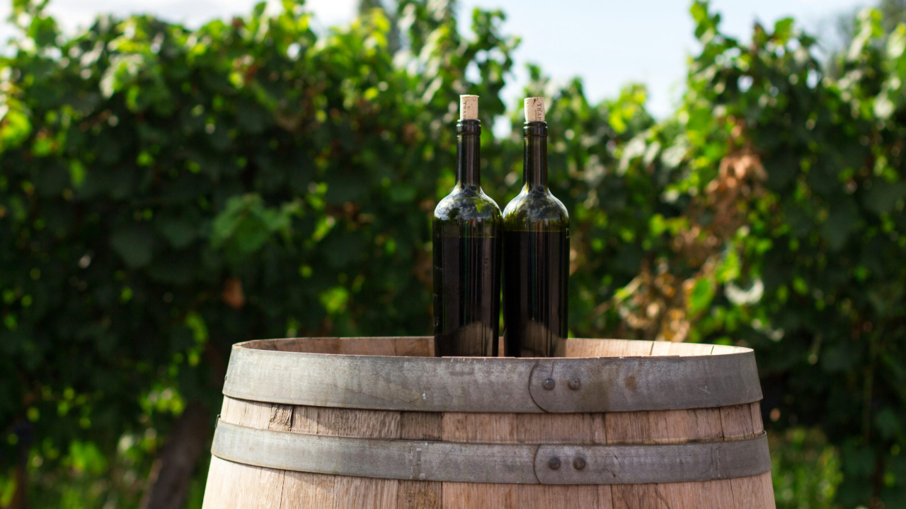 Due bottiglie di vino con tappi di sughero sono appoggiate su una botte di legno in un vigneto. Le rigogliose viti verdi sullo sfondo sono leggermente sfocate, catturando una giornata di sole, una scena perfetta per questo emozionante momento di cronaca enologica.