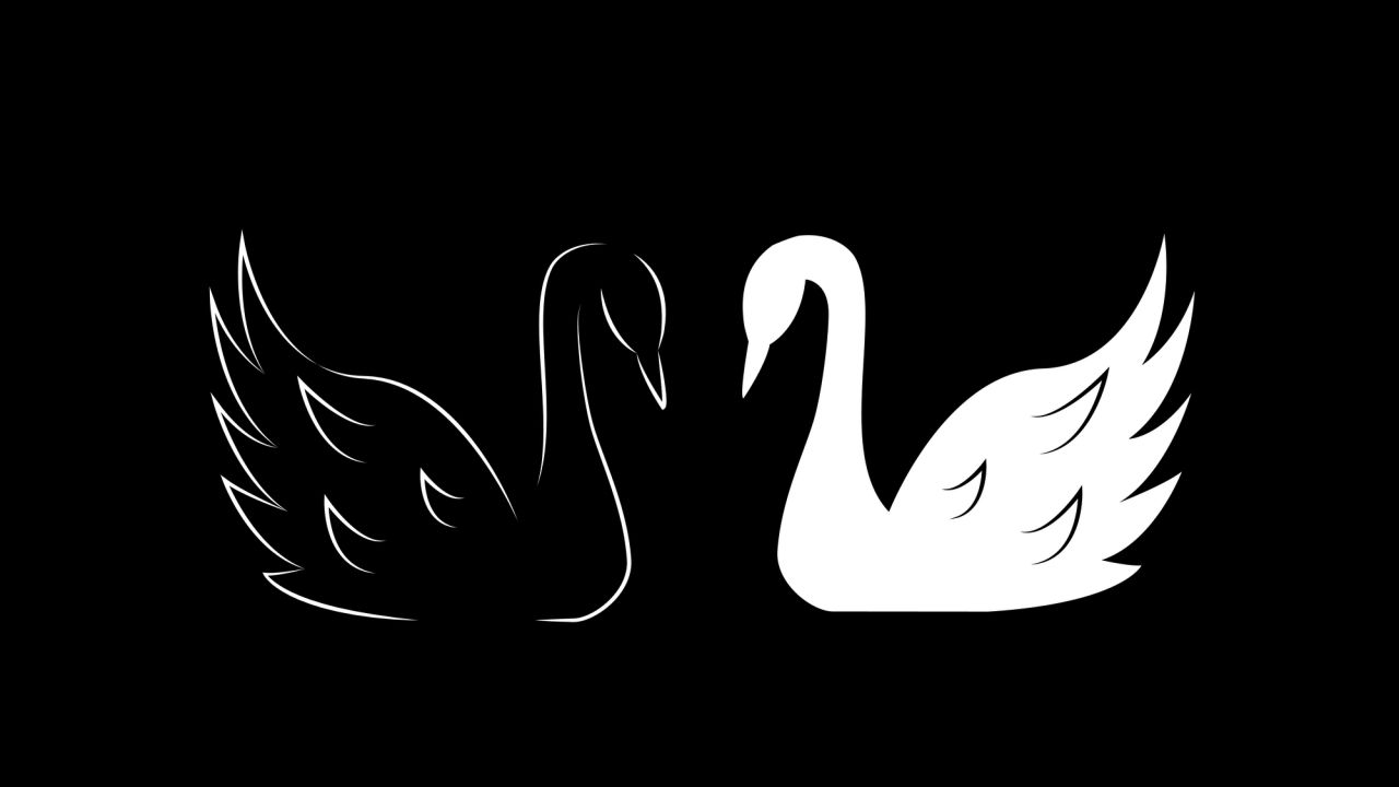 Illustrazione di due cigni uno di fronte all'altro su uno sfondo nero. Il cigno a sinistra è raffigurato in nero, mentre quello a destra è disegnato in bianco. Le loro ali sono sollevate con grazia, formando una composizione simmetrica e armoniosa.