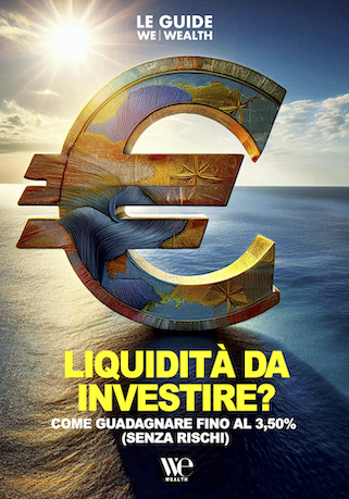 Un grande simbolo metallico dell'euro si staglia su un cielo e un mare illuminati dal sole. Il testo italiano sottostante recita: "Liquidità da investire? Come guadagnare fino al 3,50% (senza rischi)". Il logo WE Wealth appare in basso.