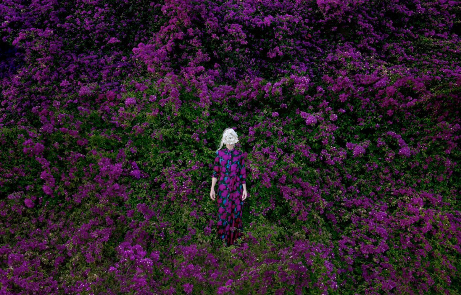 In mezzo alla vivace esposizione di fiori viola alla Mia Photo Fair, una persona con lunghi capelli bianchi si erge con grazia. Il suo vestito a fantasia viola e verde si fonde armoniosamente con i fiori, riecheggiando la novità della lussureggiante bellezza della natura.