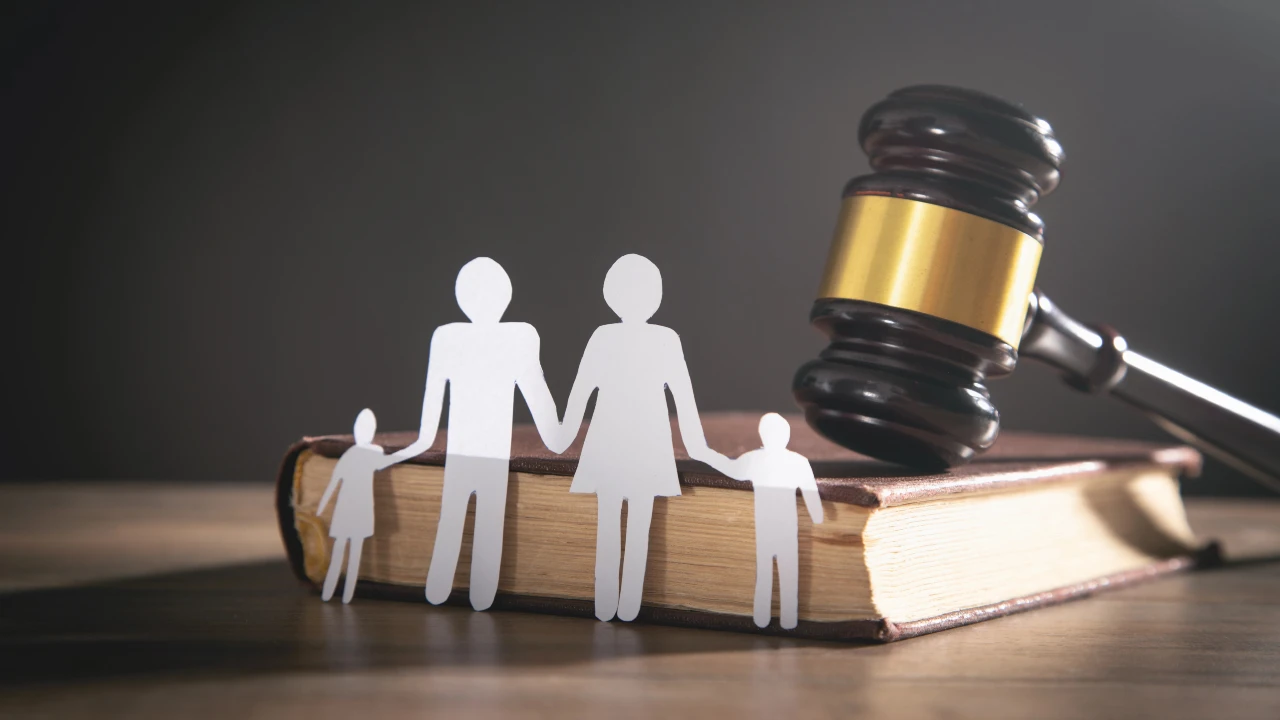 Un martelletto è appoggiato su un libro chiuso con, di fronte, dei ritagli di carta raffiguranti una famiglia (due adulti e due bambini), a simboleggiare l’importanza di una successione serena, evitando litigi tra eredi, soprattutto minorenni.