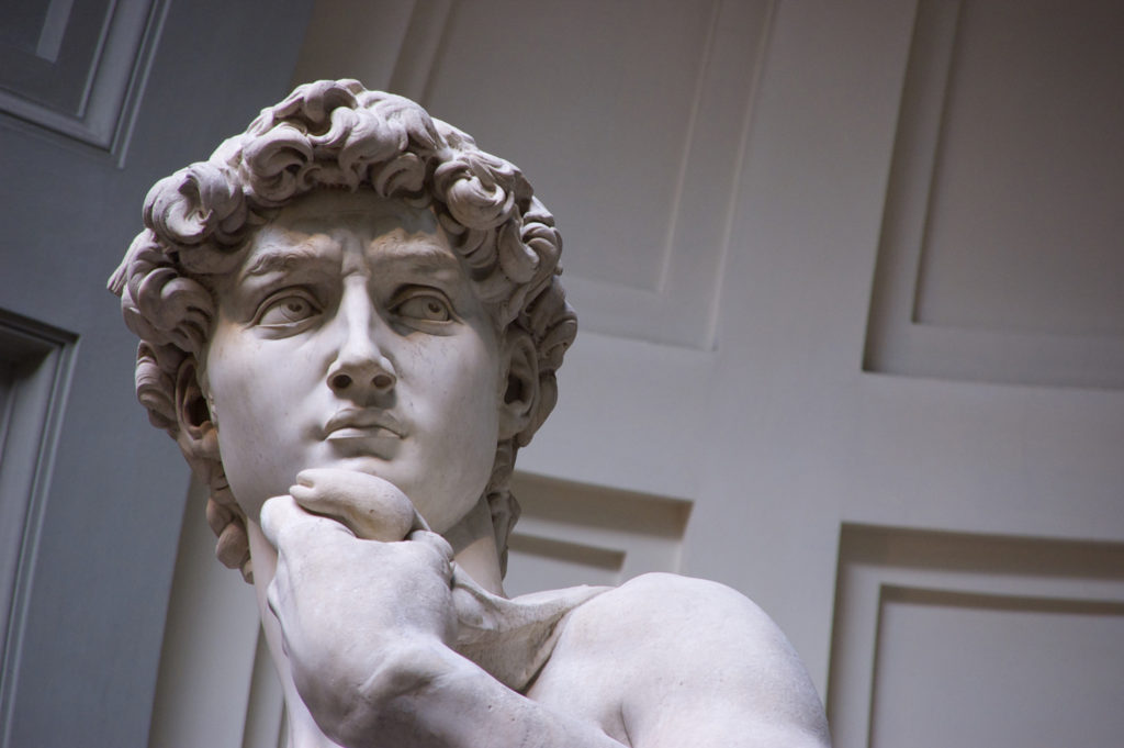 Veduta ravvicinata della statua in marmo del David di Michelangelo, con particolare attenzione al volto e alla parte superiore del busto, con espressione pensierosa e capelli ricci dettagliati, su uno sfondo di pannelli architettonici.