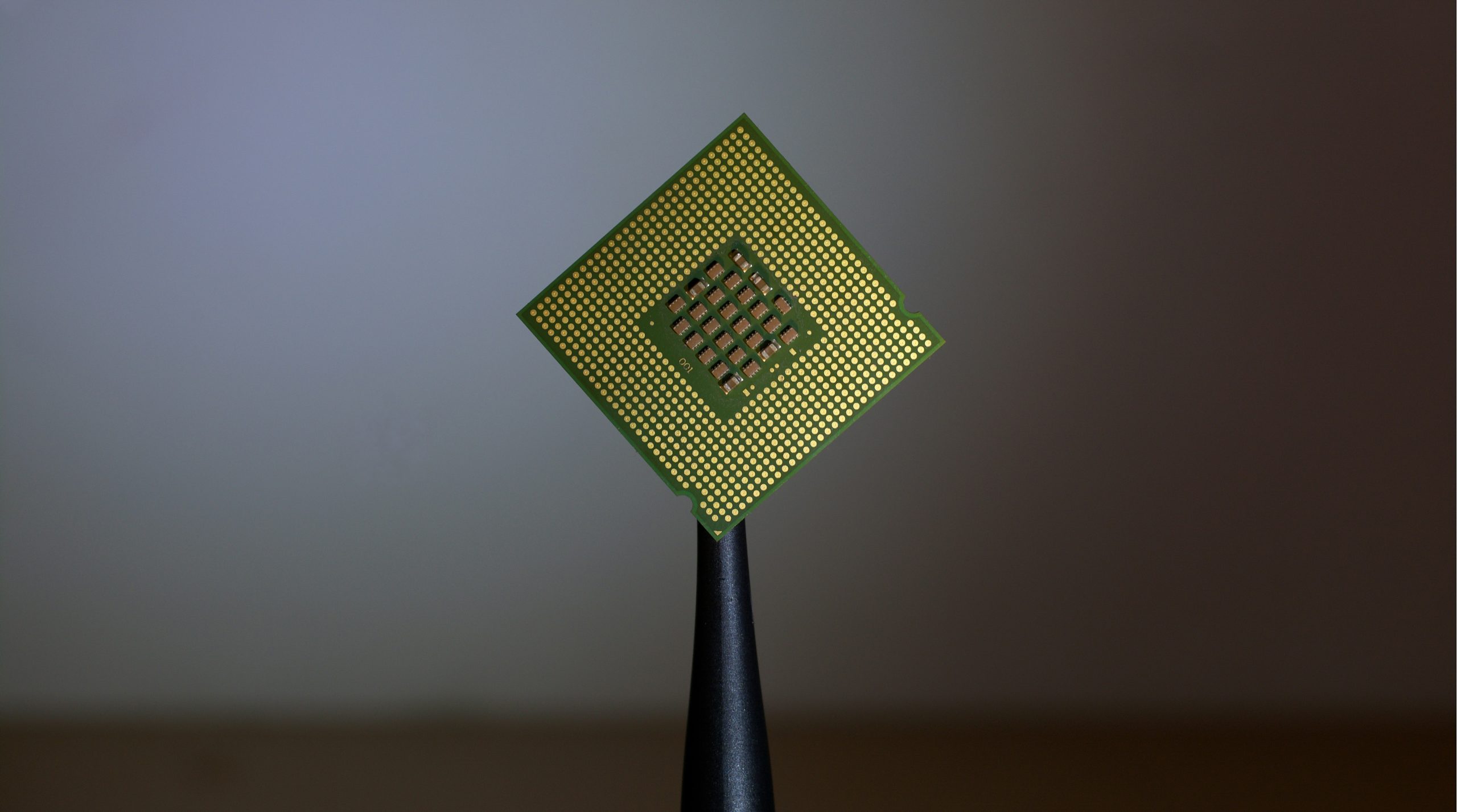 Primo piano di un chip di processore per computer tenuto in piedi da una pinzetta nera su uno sfondo sfocato. È visibile la griglia di pin dorati del chip.