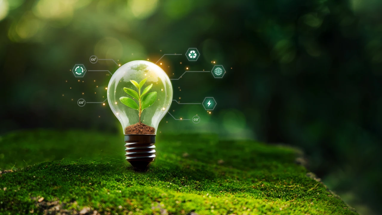 Una lampadina con una piccola pianta verde al suo interno è appoggiata su un terreno muschioso, circondata da icone digitali che rappresentano l'energia rinnovabile e la sostenibilità, su uno sfondo naturale verde sfocato. Il riferimento va all’Italia che punta a tagliare miliardi di sussidi fossili entro il 2025.