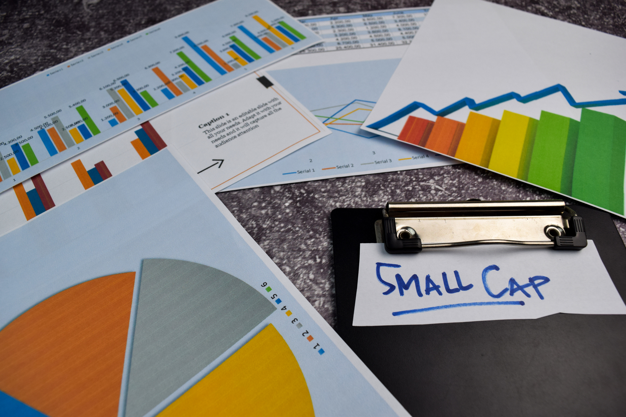 guida alle small cap