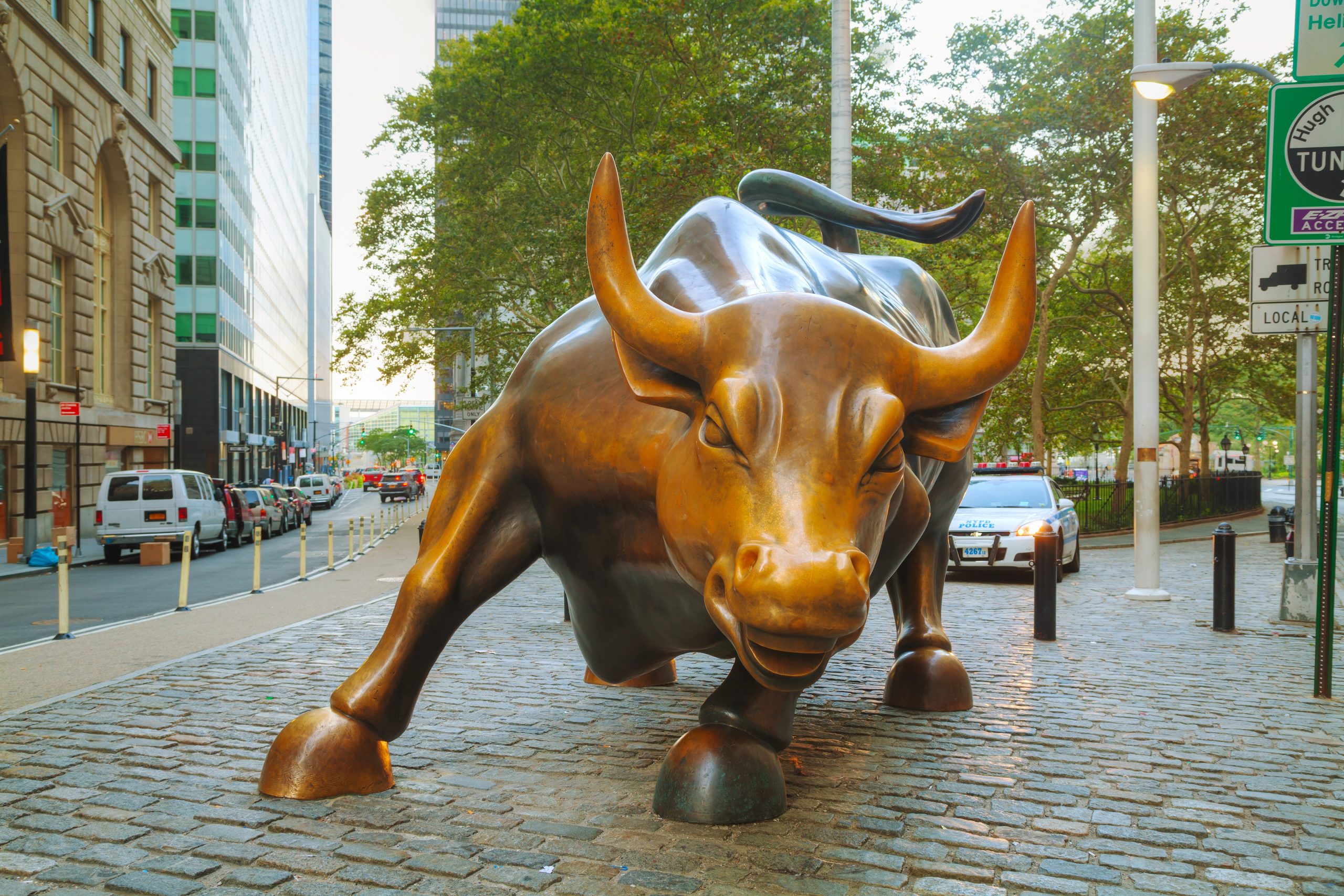 Esplora Wall Street con la nostra guida. Analisi degli indici Dow Jones, S&P 500 e Nasdaq, strategie di investimento e storia del centro finanziario mondiale.
