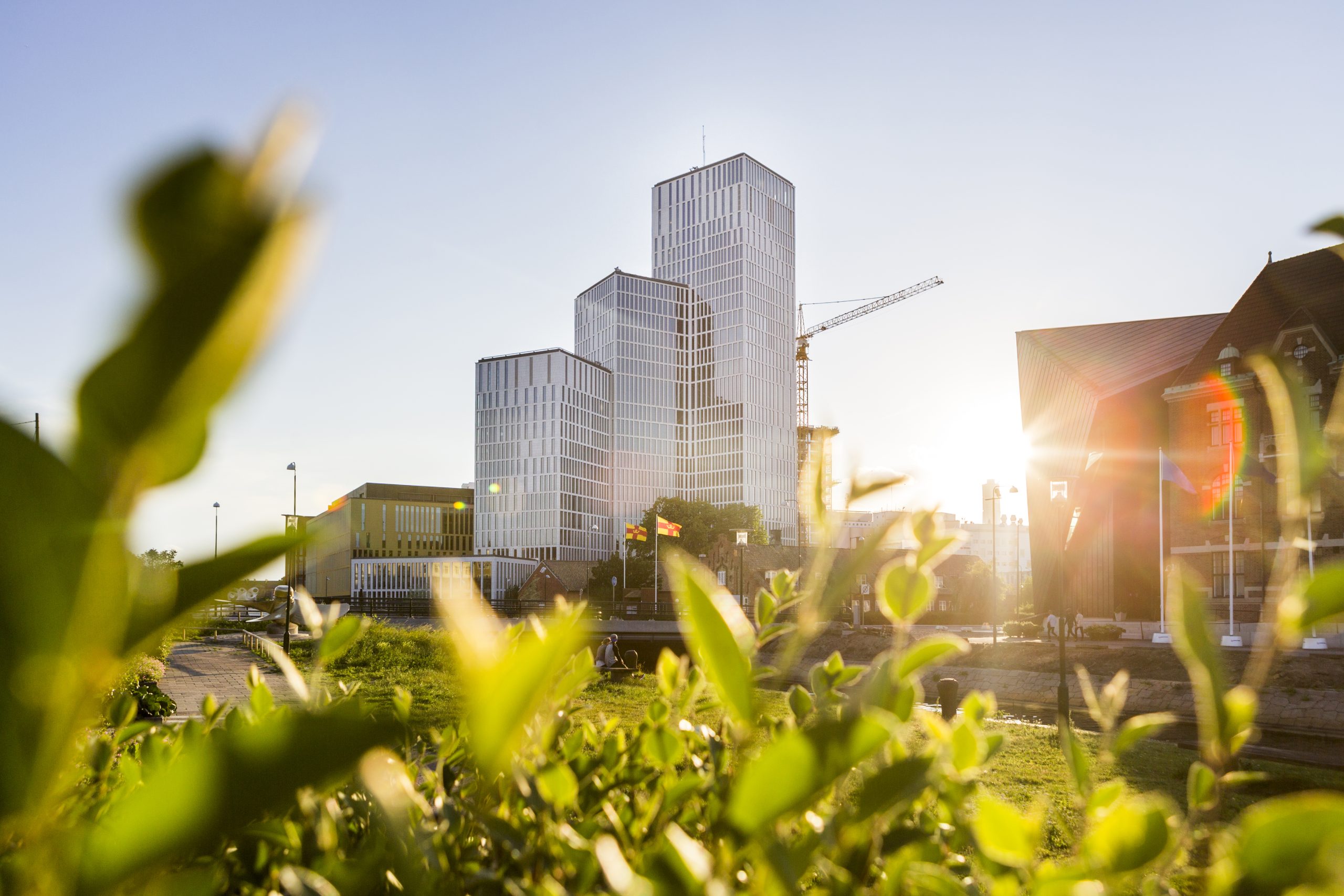 Alti e moderni edifici in vetro si ergono dietro un fogliame verde, con la luce del sole che filtra, una gru sullo sfondo e un cielo azzurro e limpido. La scena suggerisce un'area urbana che fonde natura e architettura.