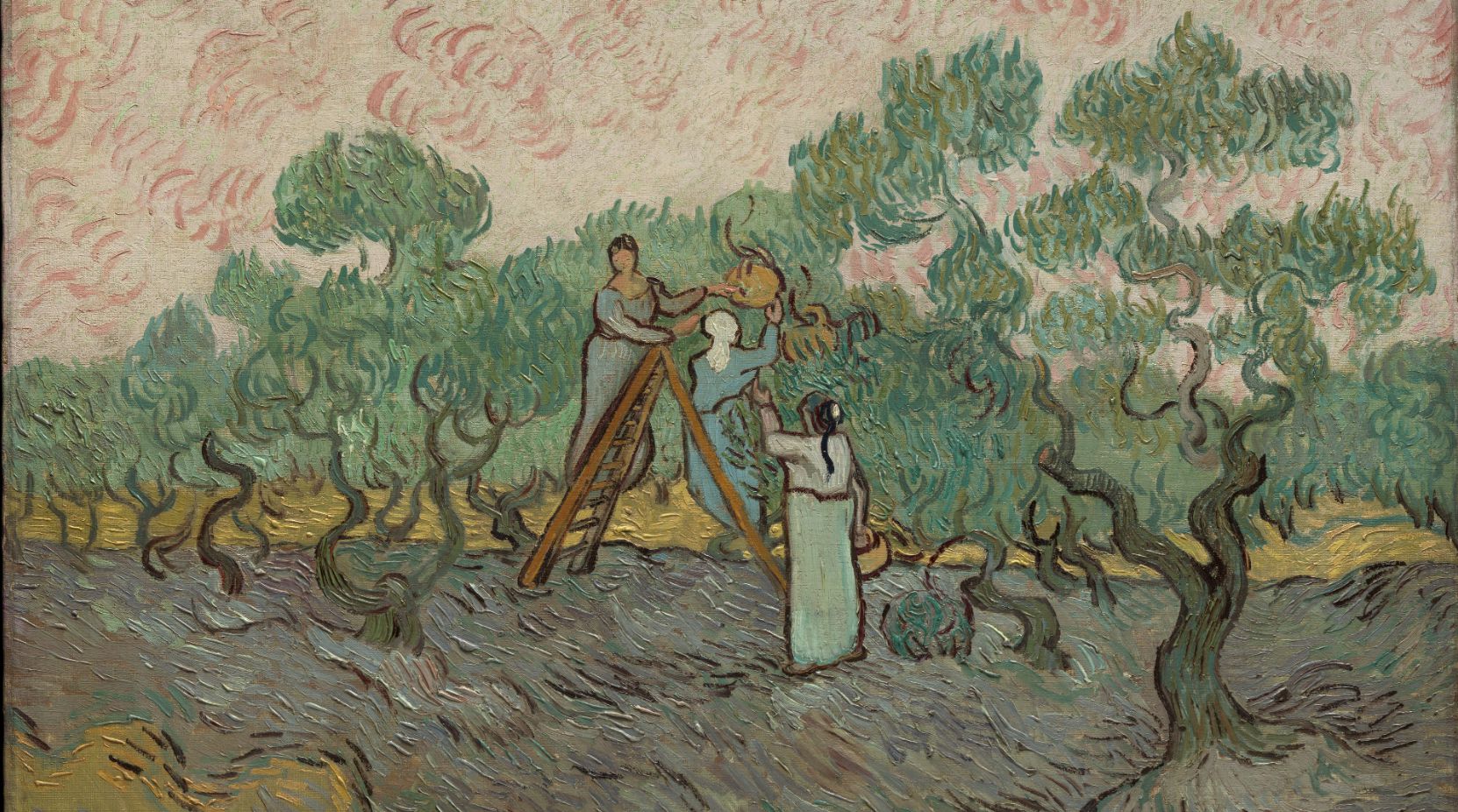 Tre donne raccolgono le olive tra gli ulivi che si alternano, una su una scala che le porge, l'altra che le raccoglie sotto di sé. Il paesaggio, dipinto in toni terrosi con pennellate fluide, evoca lo spirito senza tempo delle restituzioni opere d'arte.