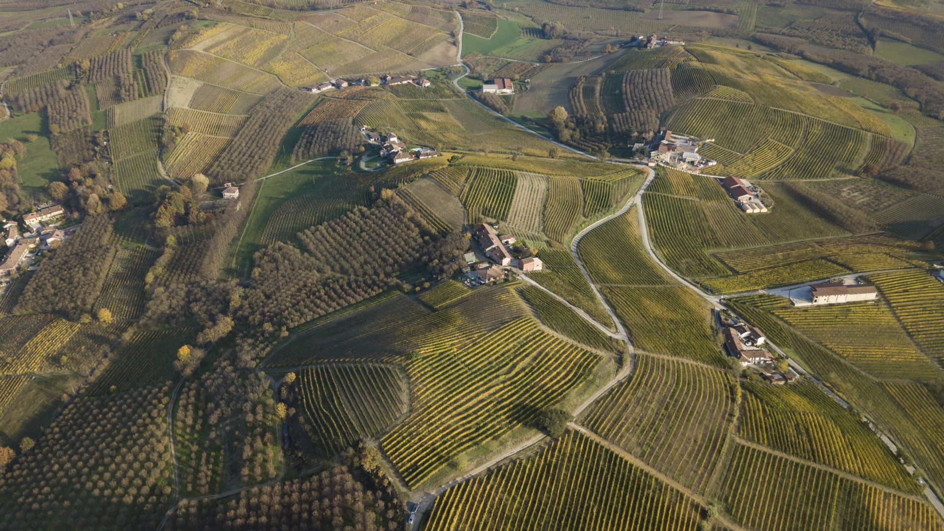 Veduta aerea di dolci colline verdi con campi, vigneti e case coloniche sparse collegate da strade tortuose in un paesaggio rurale di campagna.