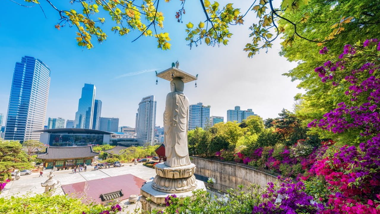 A large Buddha statue overlooks a temple complex surrounded by colorful flowers and greenery, with modern skyscrapers rising in the background under a clear blue sky.
