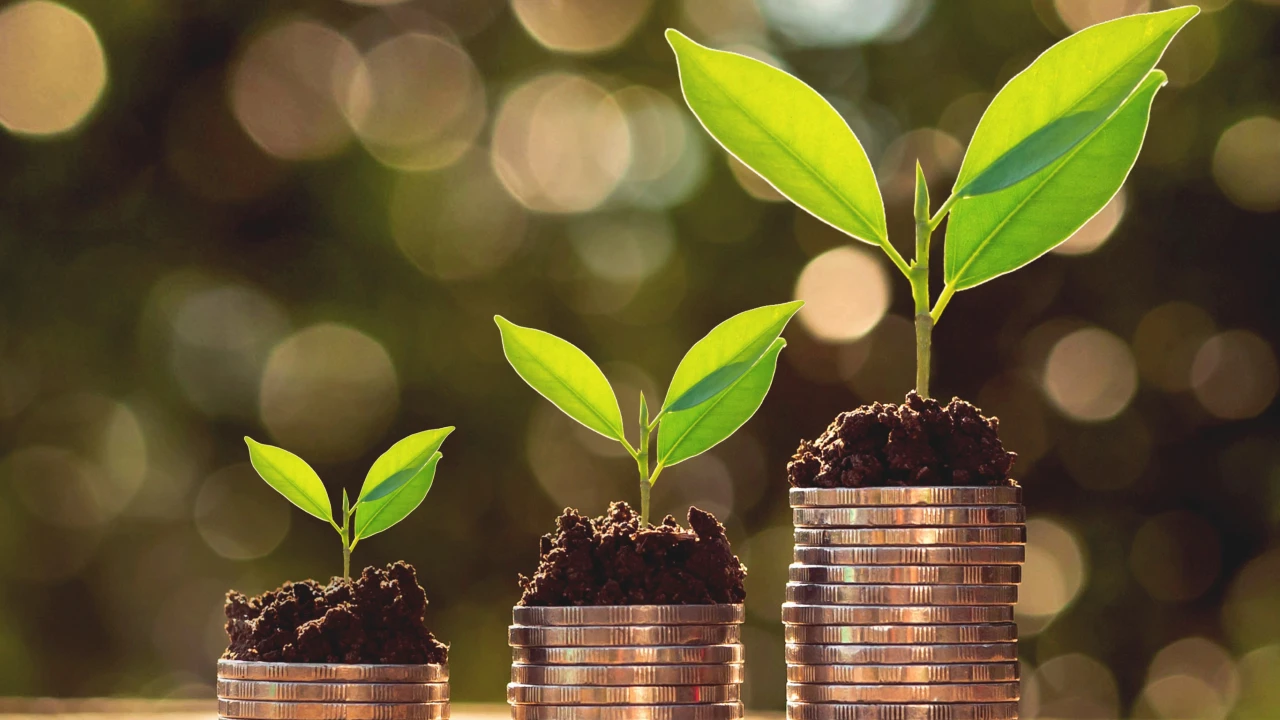 Venture capital nel mondo: scaleup tra mega round e acquisizioni