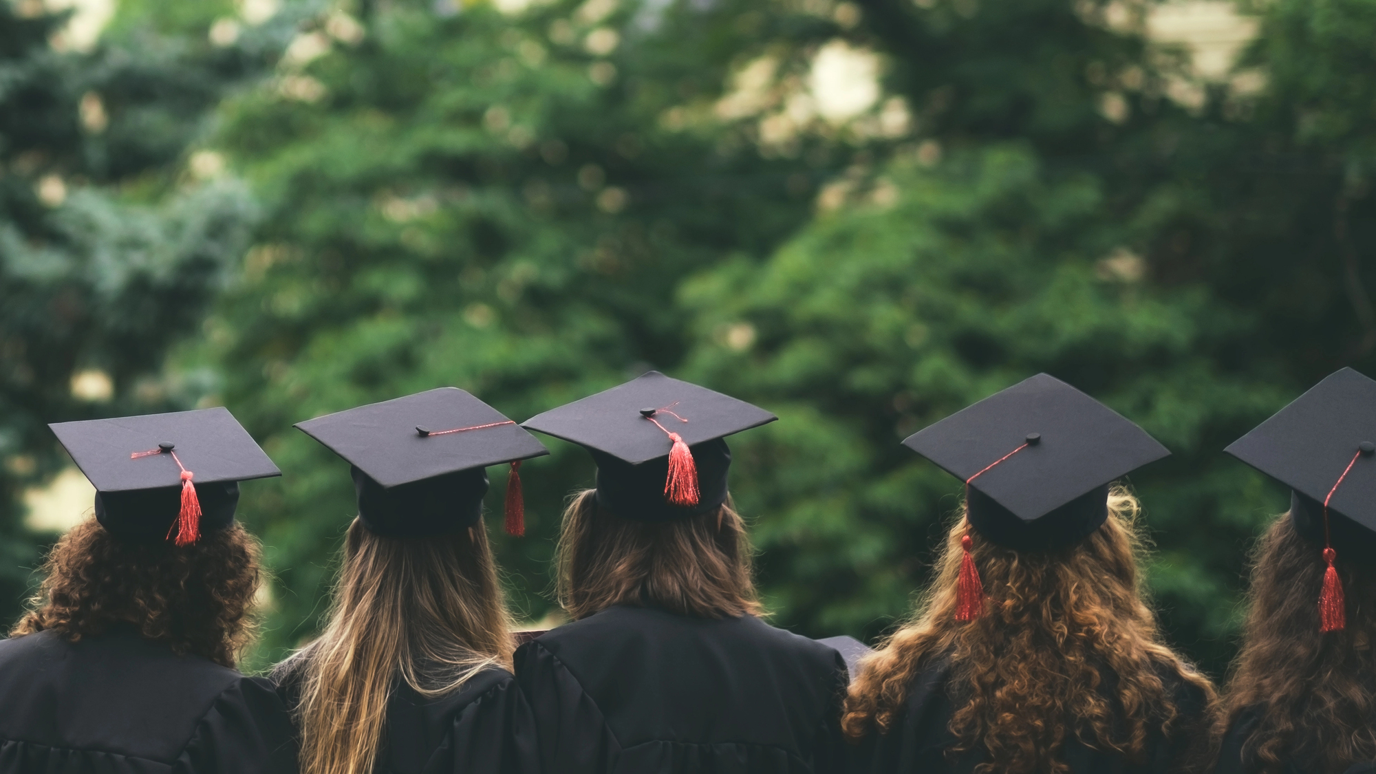 Quattro laureati che indossano il cappello e la toga sono in piedi uno accanto all'altro, rivolti verso la macchina da presa. Sono all'aperto con alberi verdi sullo sfondo. La messa a fuoco è sulla nuca e sui cappelli dei laureati.