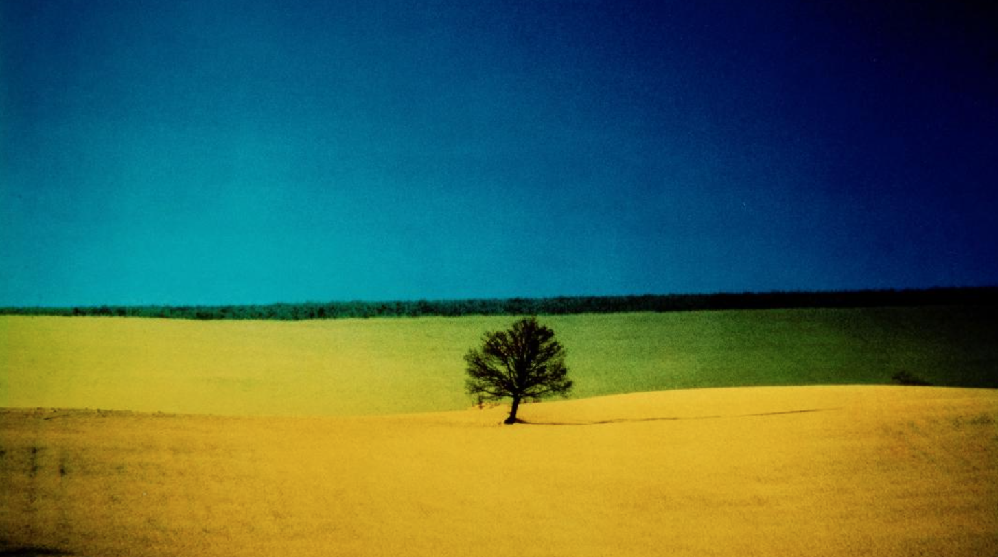 World record for Franco Fontana: Italian photography shines | WeWealth
