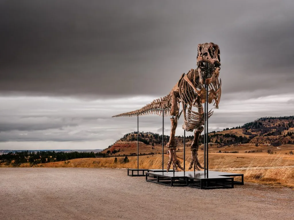 Scheletro di dinosauro T-Rex su piattaforma metallica, con sfondo collinare e cielo nuvoloso.