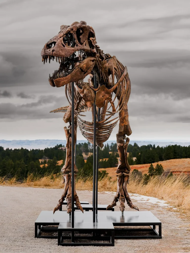 Scheletro di dinosauro T-Rex su piedistallo nero, con paesaggio collinare e cielo nuvoloso sullo sfondo.