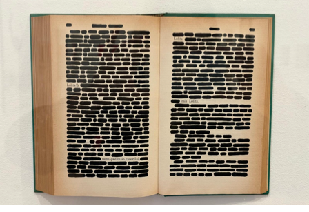 Libro aperto con pagine annerite, tranne alcune parole come "Lolita", su sfondo bianco. Copertina verde.