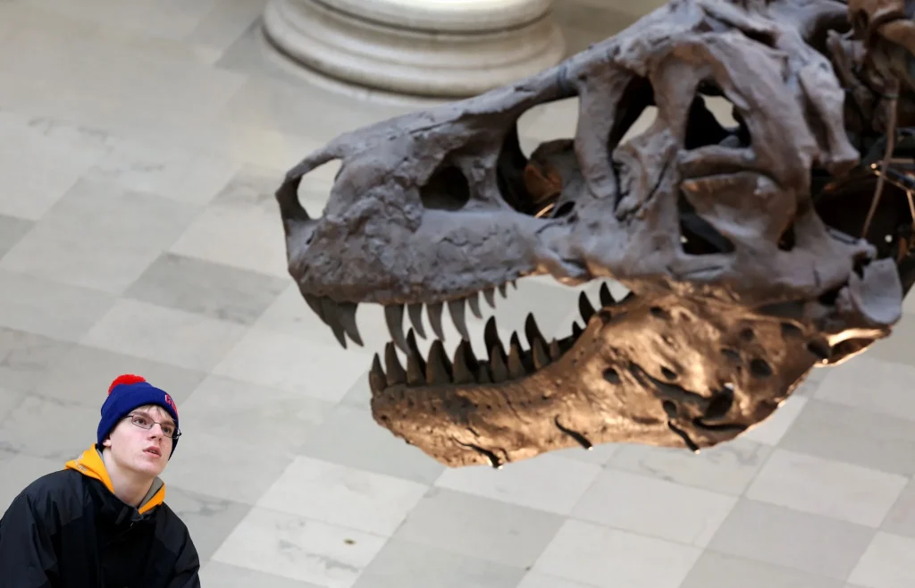 Ragazzo con berretto guarda in alto verso lo scheletro di un dinosauro con denti aguzzi.