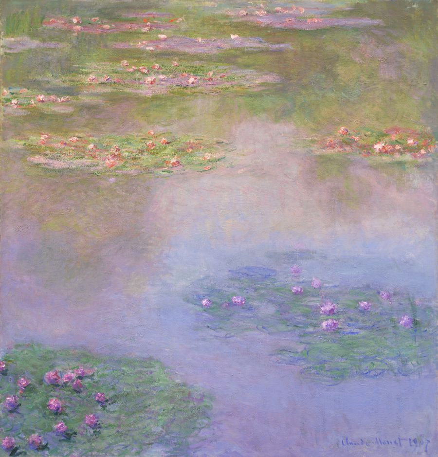 Ninfee rosa e viola galleggiano su uno stagno con riflessi sfumati di verde e blu.