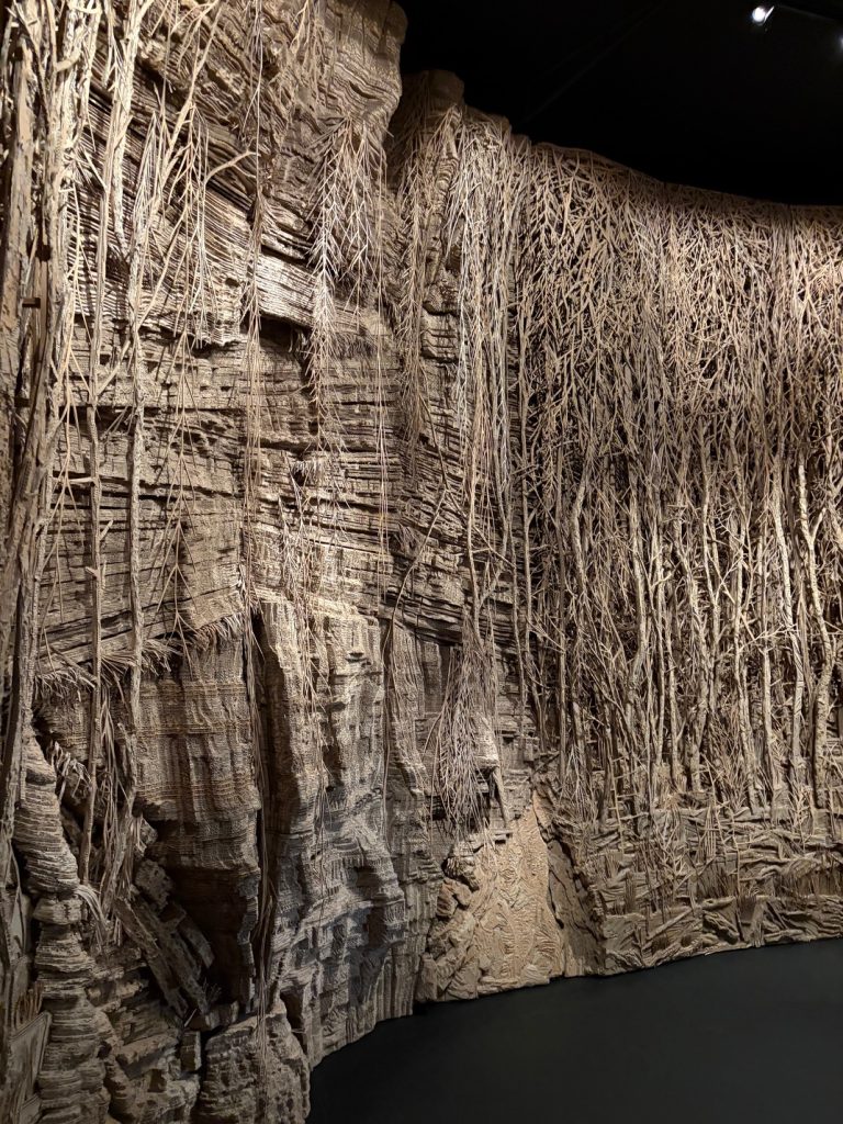 Parete rocciosa con radici pendenti e texture stratificate, su sfondo scuro.