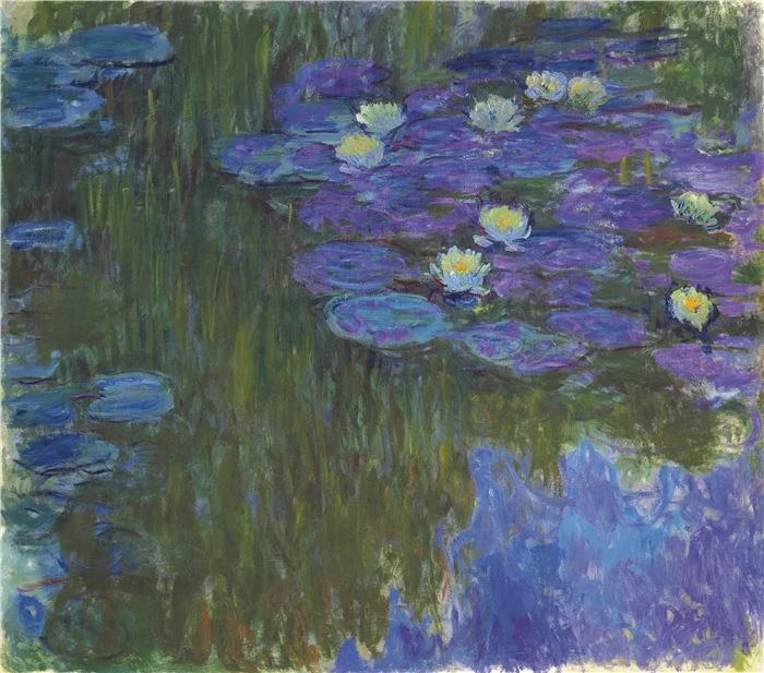 Ninfee bianche e viola galleggiano su uno stagno con riflessi verdi e blu.