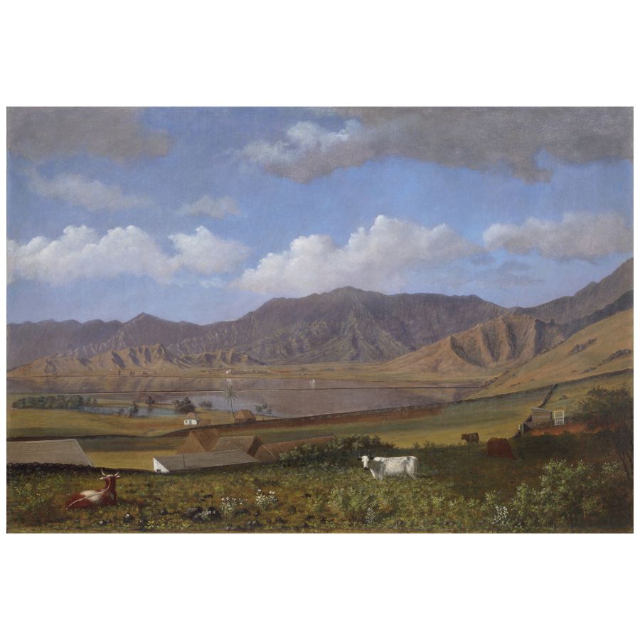 Paesaggio con montagne, lago, case e mucche al pascolo sotto un cielo nuvoloso.