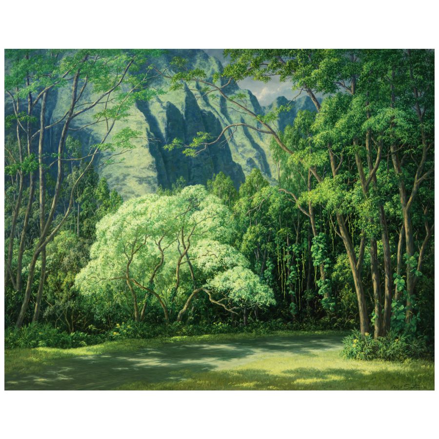 Foresta lussureggiante con alberi verdi, montagne sullo sfondo e un prato soleggiato.