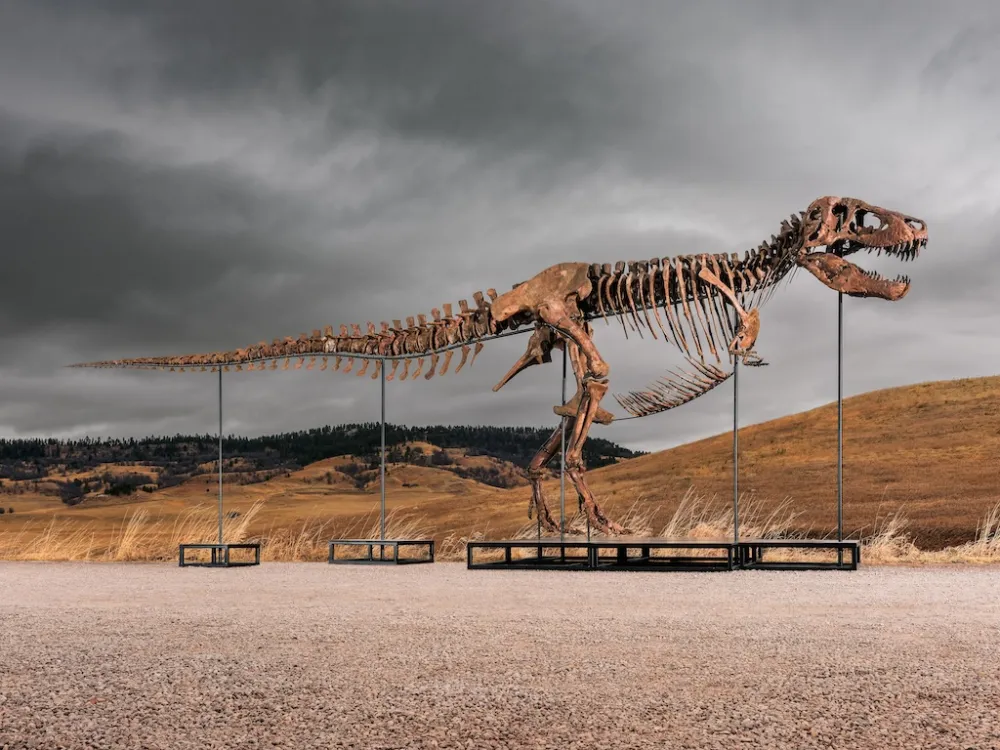 Scheletro di dinosauro esposto all'aperto con cielo nuvoloso e paesaggio collinare.