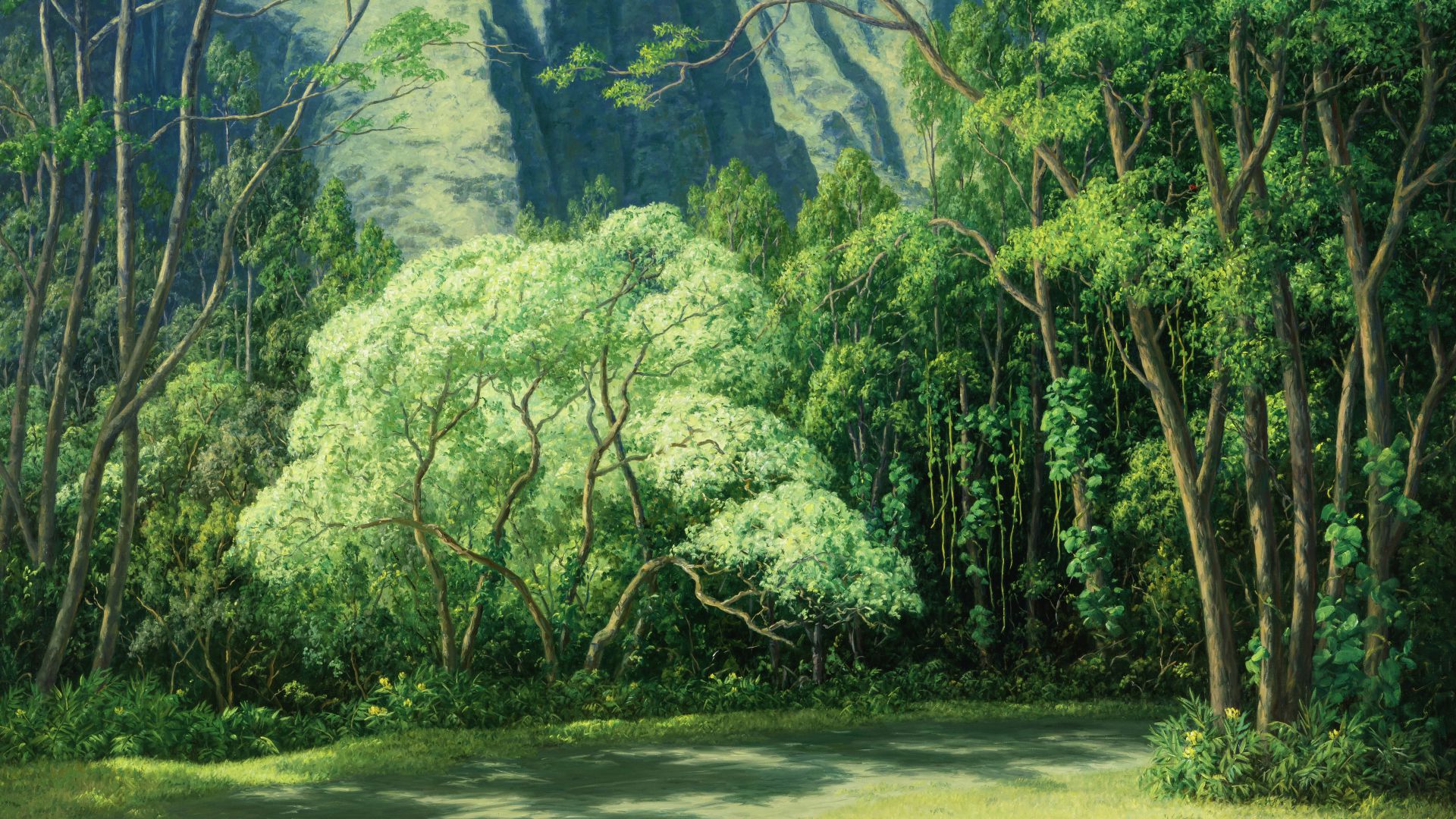 Foresta lussureggiante con alberi alti, vegetazione fitta e un sentiero fangoso.