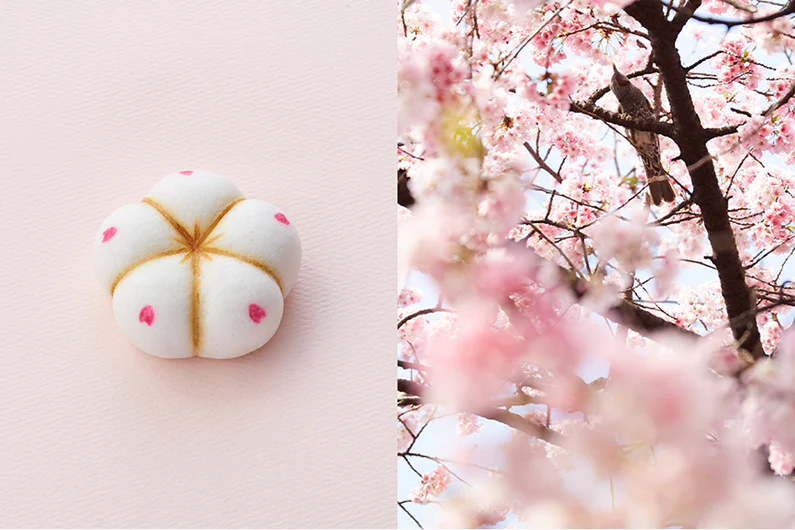 Dolce a forma di fiore bianco con petali rosa e ramo di ciliegio fiorito con uccello.