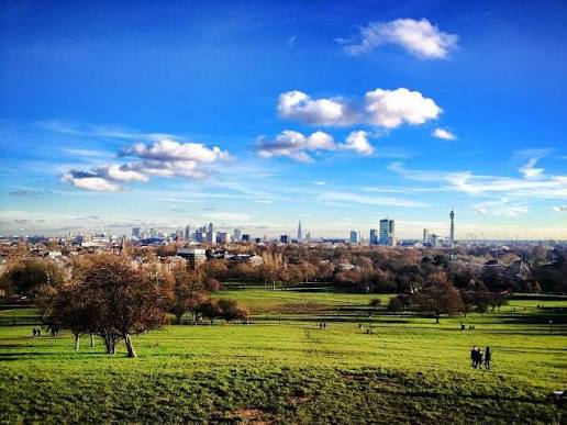 Ampio parco verde con alberi spogli e skyline di città sullo sfondo sotto un cielo blu con nuvole.