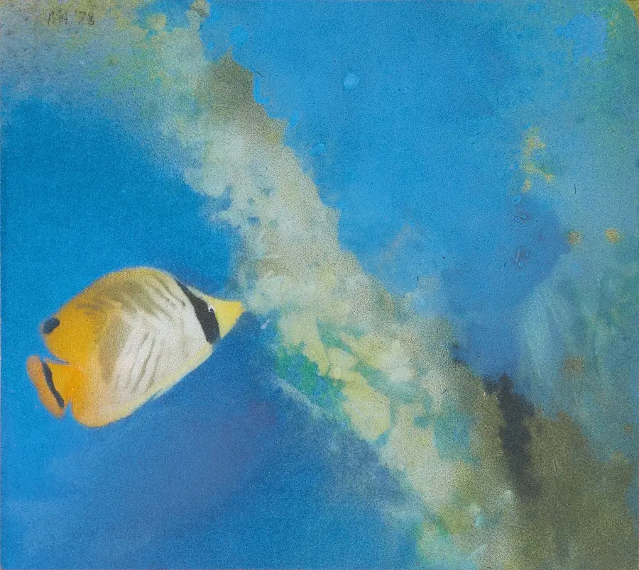 Pesce farfalla giallo e bianco nuota in acqua blu con una macchia di colore verde e giallo.