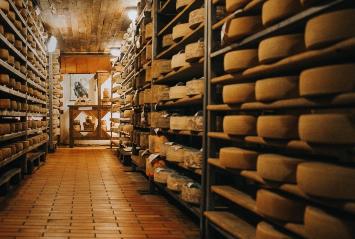 Scaffali pieni di forme di formaggio rotonde in una cantina.